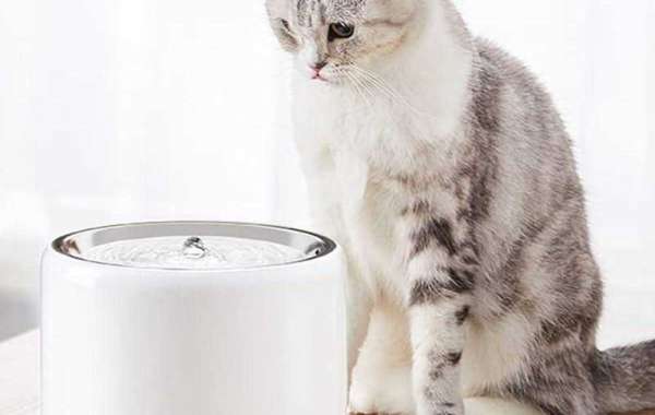 What Makes Pawtechpet Intelligent Pet Water Dispenser Unique at Home