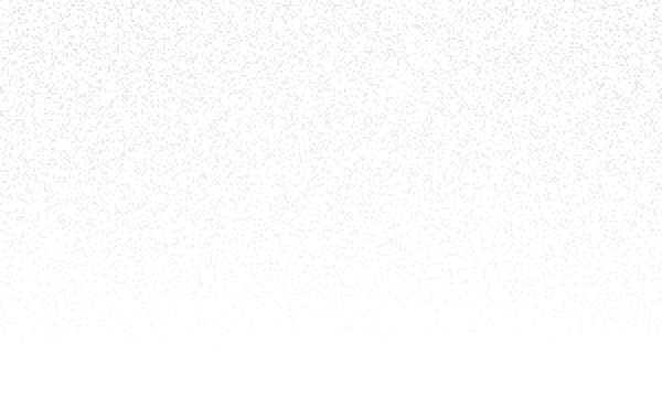 The Rise of Semi-Private Flights for Dog Owners: A New Era in Pet Travel