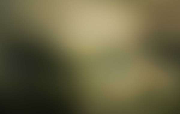 Observational Insights into the Operations of Private Airline Companies