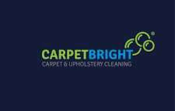 Carpet Cleaning Services That Support a Healthier Living Space