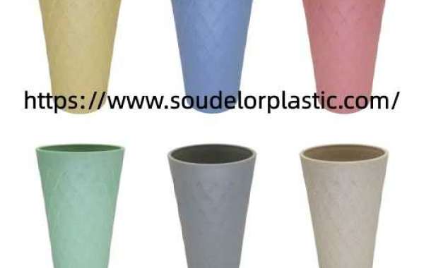 Soudeluo Plastic Water Cup materials in everyday items what should users know